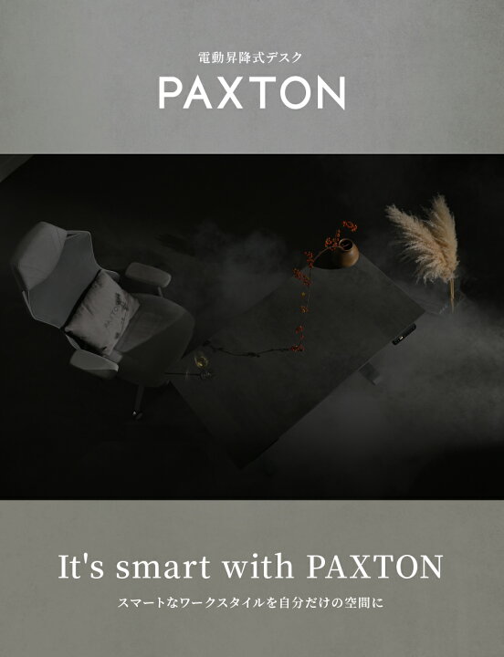 楽天市場】PAXTON 電動式昇降デスク 日本メーカー監修 デュアル 