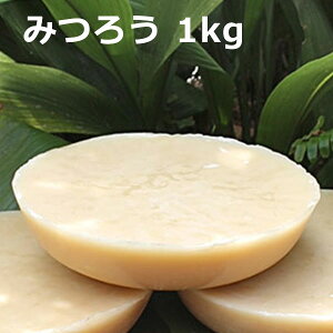 ݂낤1kg  r[YbNX CG[ X N[ ~cE 胊bv N[  Lh RX ϕi ێ ێ  ޗ f