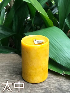 낤 ݂낤Lh~  7x10cmX Lh X100% VRf Y CG[ X ~cE  Lh nj[ Lh LhiCg L