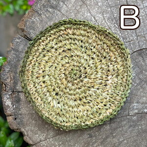 asana wv100% a ҂ R[X^[1 y[ OKz  wv100% ҂ oG AWAG GXjbN Rf