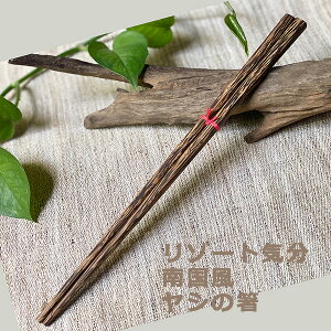 V̖ ͂q̖؁ 1V y[OKz  GXjbN AWAG݁@][gR[f