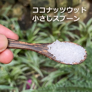 V̖ Ƃ  ~jXv[1 ][gG݁y[OKz GXjbN AWAG݁@][gR[f