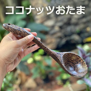 V̖ ܁1][gG݁ GXjbN AWAG݁@][gR[f