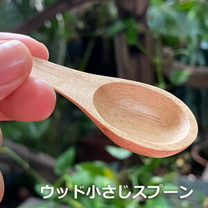 WOOD 1{y[OKz][gG GXjbN AWAG݁@][gR[f