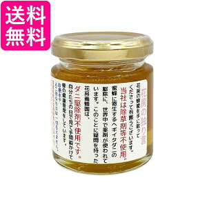 Ԗ[{I Ԗ[̓Ƃ茾݂͂ ݂͂ Y M _ _j쏜ܕsgp I VR GT肵ȂI 120g 