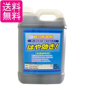 VZC ͂ 5L _knp  OzT[gC\vsA~34% MCP SHINSEI 