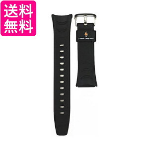 JVI PRW-200J PRS-500 p oh (xg) CASIO 