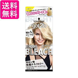 �V�������c�R�tgot2b �S�b�g�D�[�r�[ �{���f�B���O�E�u���[�` ��򕔊O�i �w�A�J���[ schwarzkopf ��������