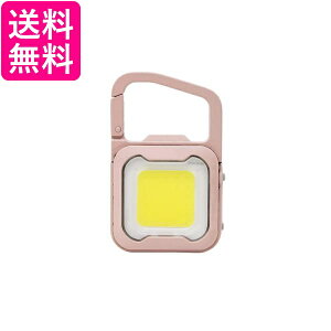 TV WRC-21DP [d ҂ MINI LIGHT _XeBsN 