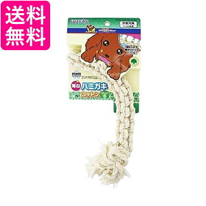 hM[} p n~KLRbg XeBbN S TCY  f^PA 