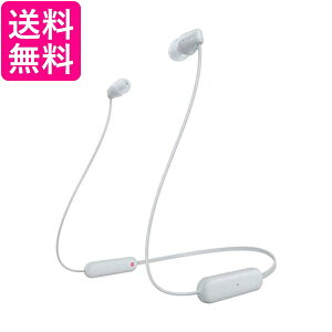 \j[ WI-C100 WZ CXXeIwbhZbg zCg lbNohCz u[gD[XCz SONY 