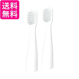 pi\jbN EW0968-W ւuV |Pbghc ɍזу^Cv 2{g  Panasonic EW0968W 