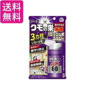 アース製薬 クモの巣消滅 1プッシュ式スプレー 屋内用 60回分 クモ 殺虫剤 送料無料