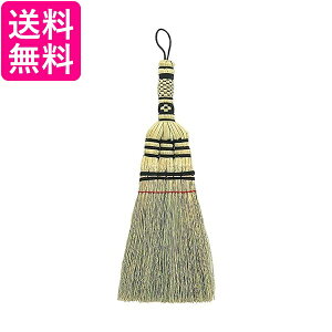 AY}H EC127 pS҂݃nhuV azuma 