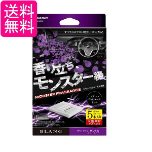 J[Cg H1291 ԗp LF uO GARtB^[t X^[tOX zCgXN 5{ 