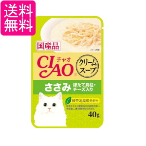 Ȃ `I X[v N[X[v  قĊLE`[Y 40g CIAO 