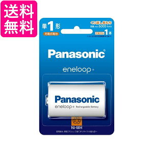 �p�i�\�j�b�N BK1MCD1 BK-1MCD-1 �P1�`�j�b�P�����f�d�r �G�l���[�v �X�^���_�[�h���f�� Panasonic ��������