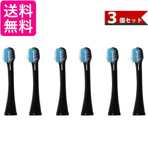 pi\jbN CIpWɍזуuVij 2{ 3Zbg Panasonic@CIΉhcp EW0913-K 