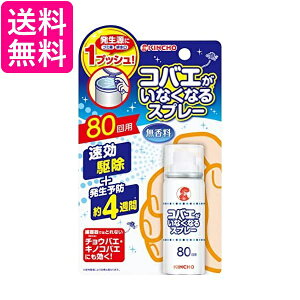  RoGȂȂXv[ 80p KINCHO 