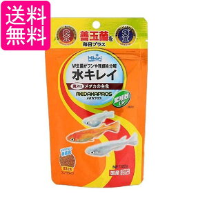 L[ qJ _JvX 20g _J̎H _J̉a 