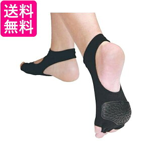 IJ AQA-1L AQA1L ANA v[GNTTCYpT|[^[ LTCY ubN ANAV[Y v[ ^ AQUARUN 