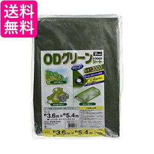 ^JCN OGS11 #3000ODO[V[g 3.6mx5.4m 