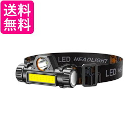 LEDデュアル ヘッドライト 光源 USB 充電式 高輝度 モード 懐中電灯 集光 散光切替 点灯 IPX6防水 (管理S) 送料無料
