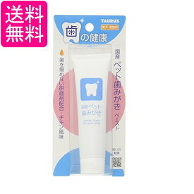 トーラス ペット歯みがきペースト チキン風味 38g 国産 犬 猫 デンタルケア 送料無料