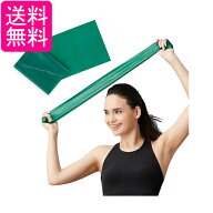 ディーアンドエム セラバンド TBE-3 グリーン トレーニングチューブ 緑 初心者向け 1m 強度レベル+1 マニ…