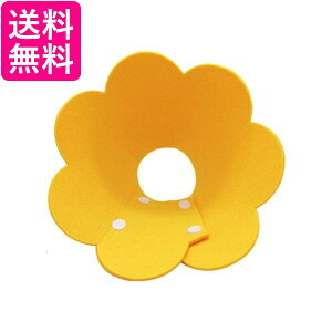 GUxXJ[ CG[ ybgObY y \tg^Cv GJ rߖh~  L 킢  MTCY (ǗS) 