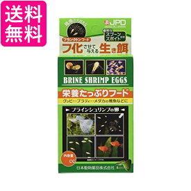 2個セット ニチドウ ブラインシュリンプ 24cc 送料無料