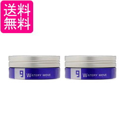 2個セット ルベル トリエオム ワックス ウォータリームーブ 9 105g LebeL 送料無料