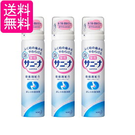3個セット 花王 薬用 泡サニーナ 70g 送料無料