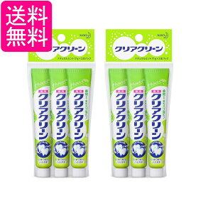 2個セット 花王 クリアクリーン ナチュラルミント ミニ 17g 3個 送料無料