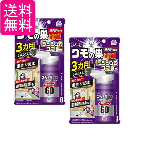 2個セット アース製薬 クモの巣消滅 1プッシュ式スプレー 屋内用 60回分 クモ 殺虫剤 送料無料