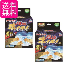 2Zbg A[XEybg dqm~ƂzCzC ybgpi m~ m~ ybg 