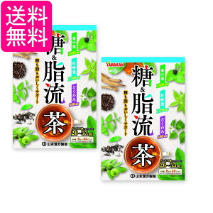 2個セット 山本漢方製薬 糖&脂流茶 8g x 24包 送料無料