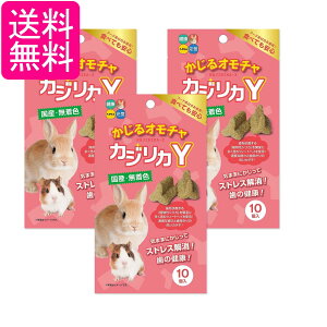 3Zbg nCybg JWJY 邨 10 nX^[ ETM t[h 