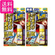 2個セット フマキラー ゴキブリワンプッシュプロ 120回分(30ml) ゴキブリ用殺虫剤 無煙タイプ 送料無料