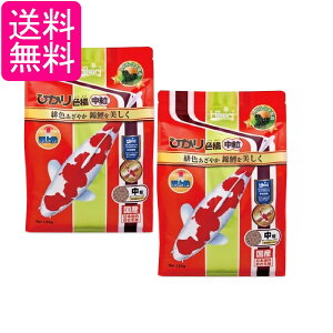 2Zbg L[ qJ ЂFg  1.2kg ̉a 