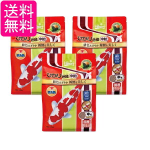 3Zbg L[ qJ ЂFg  1.2kg ̉a 