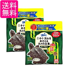 2Zbg L[ qJ Ђ JvX 550g T̃GT 