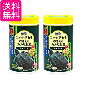 2Zbg L[ qJ JvX 200g T̃GT 