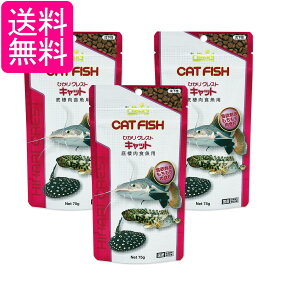 3Zbg L[ qJ ЂNXgLbg 75g H 