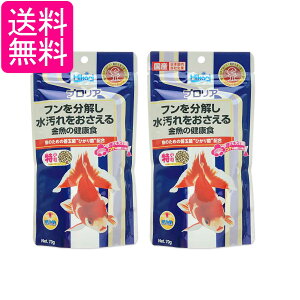 2Zbg L[ qJ vA 70g ̌NH  ̉a 