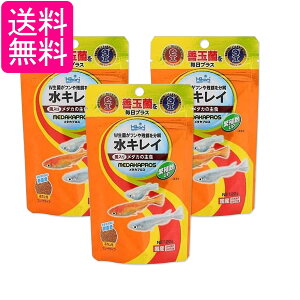 3Zbg L[ qJ _JvX 20g _J̎H _J̉a 