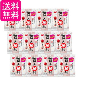 12Zbg m[x ~ڂ̎툹 LfB َq 30g 