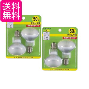 2�Z�b�g ���U�� RF5017502P �~�j���t�� R50 E17���� 50W 2�� �n�C�r�[�� �d�� YAZAWA ��������