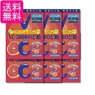 6個セット ノーベル VC-3000のど飴 ピンクグレープフルーツ 90g 送料無料