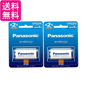 2�Z�b�g�p�i�\�j�b�N BK-2MCD/1 �G�l���[�v �X�^���_�[�h���f�� �P2�` �[�d�r Panasonic (BK-2MGC/1 ��p�i) ��������